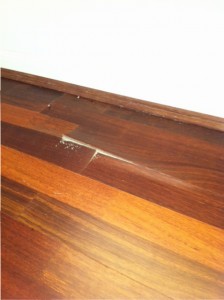 Termites floor boards gold coast